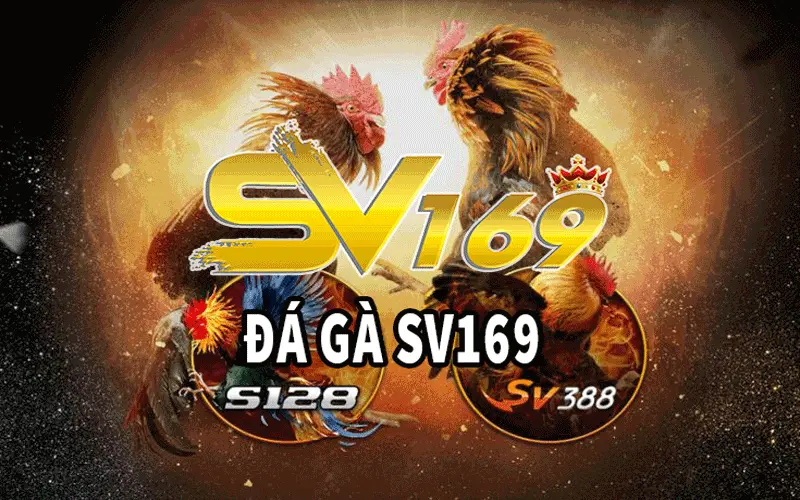 Đá gà sv169